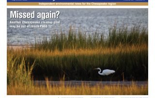 Bay Journal