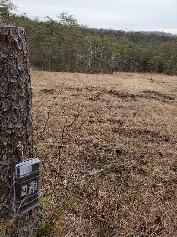 geocache-2 GeoCache
